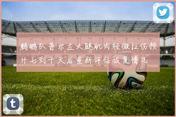 鹈鹕队普尔左大腿肌肉轻微拉伤预计七到十天后重新评估恢复情况