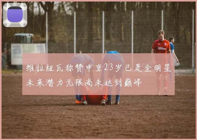 维拉纽瓦称赞申京23岁已是全明星未来潜力无限尚未达到巅峰